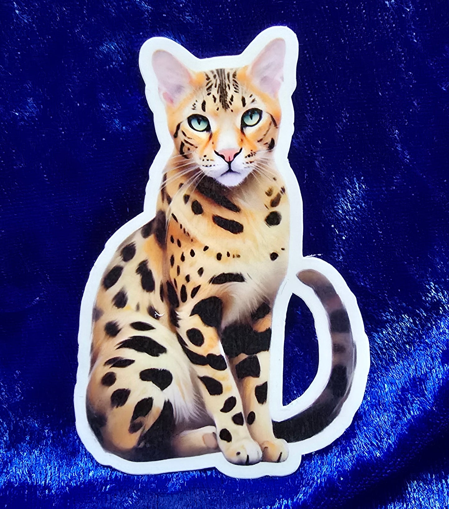 Cat Breed Stickers, Waterproof Vinyl Decals, Cute Illustrated Cat Art, Laptop & Water Bottle Stickers
