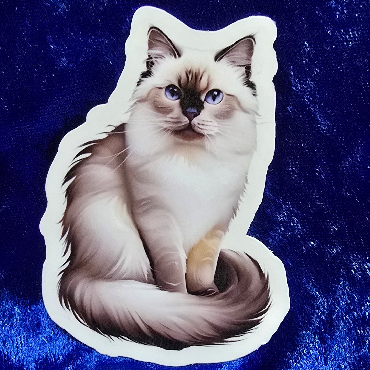 Cat Breed Stickers, Waterproof Vinyl Decals, Cute Illustrated Cat Art, Laptop & Water Bottle Stickers