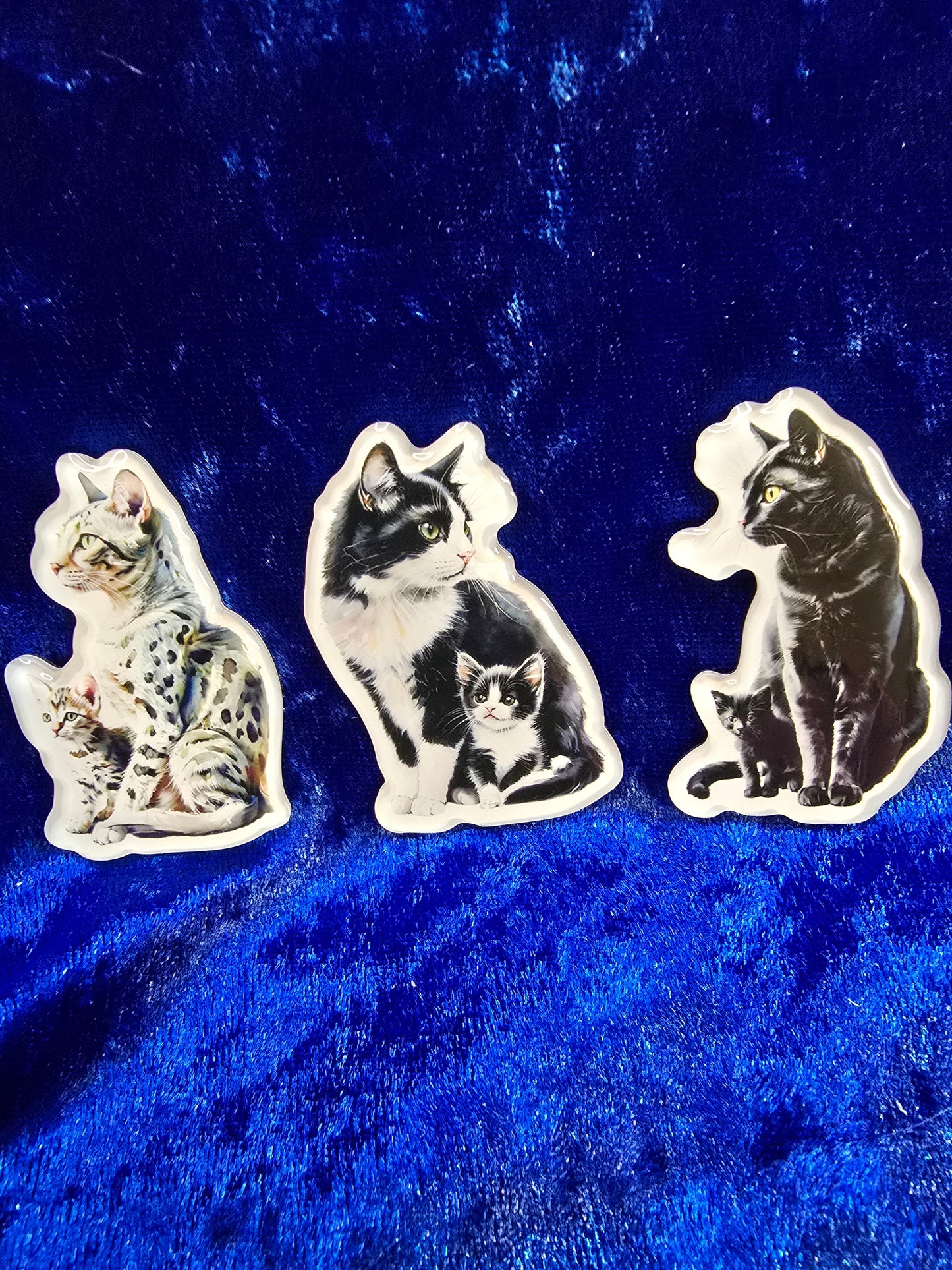 Realistic Cat and Kitten Magnets, Cute Cat Lover Gift