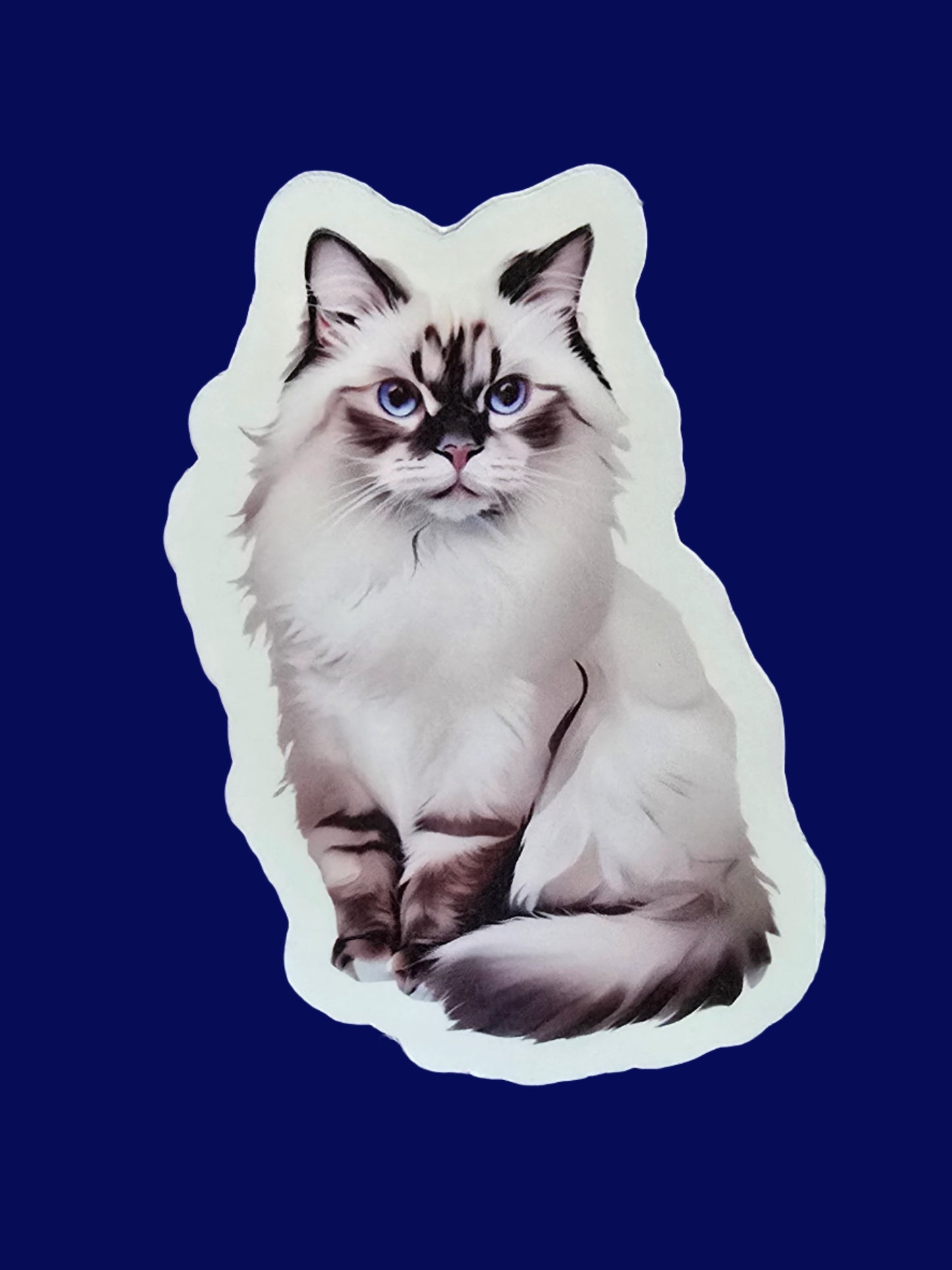 Sticker of a cat with blue eyes on a blue textured background
