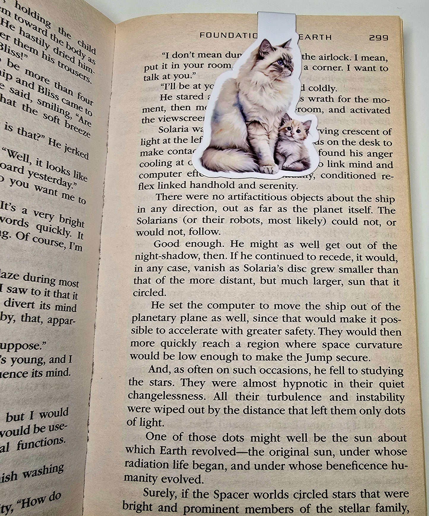 Siberian Cat and Kitten Magnetic Bookmark, Fluffy Cat Page Marker, Handmade Gift for Book Lovers, Cat Mom Stationery
