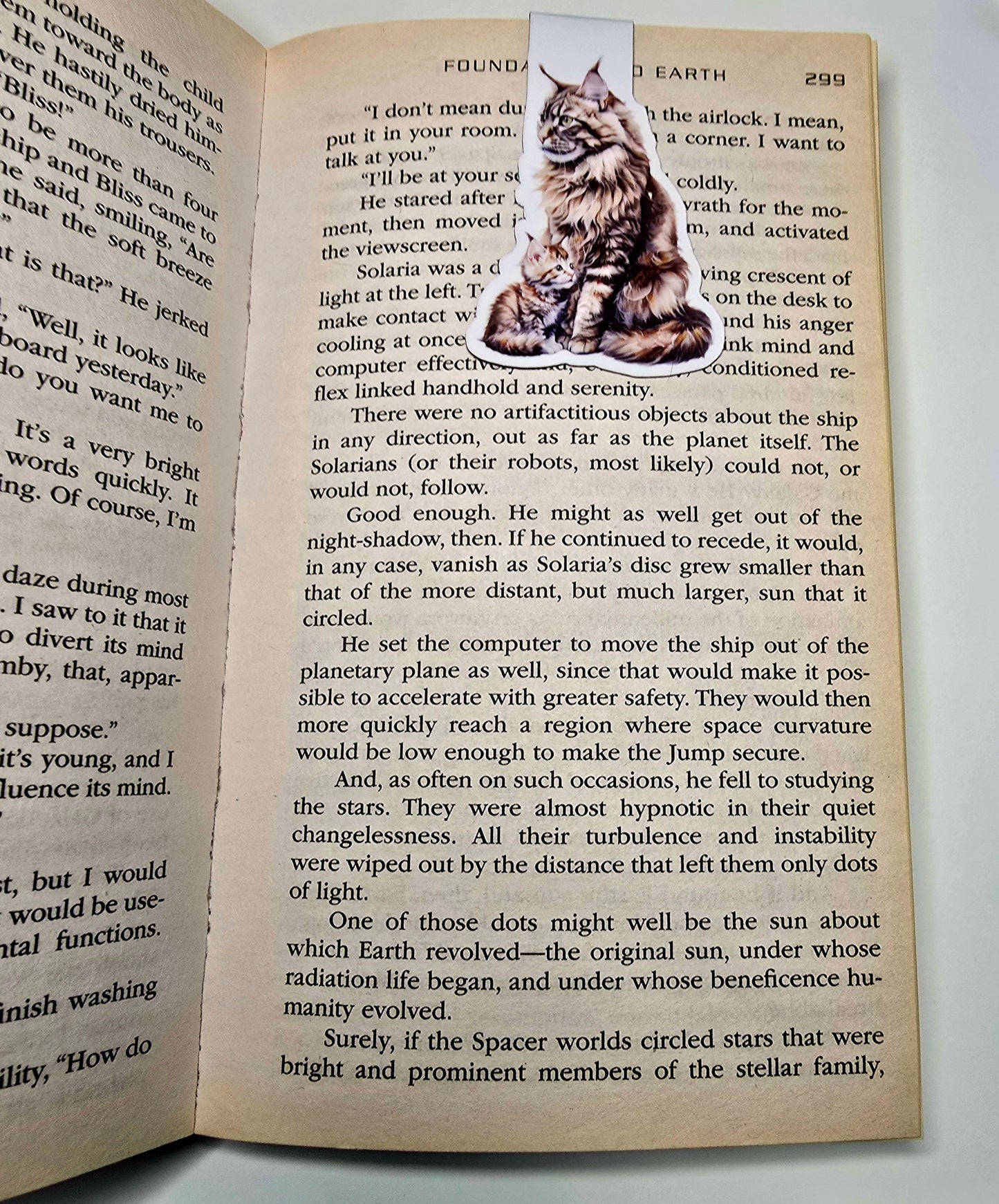 Brown Maine Coon Cat Magnetic Bookmark, Cat Mom & Kitten Bookmark, Fluffy Cat Lover Gift, Handmade Animal Bookmark