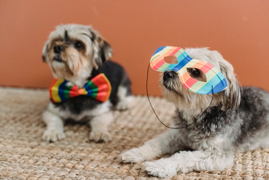 Choosing-the-Right-Pet-Accessories-for-Different-Breeds Designs by Mysh