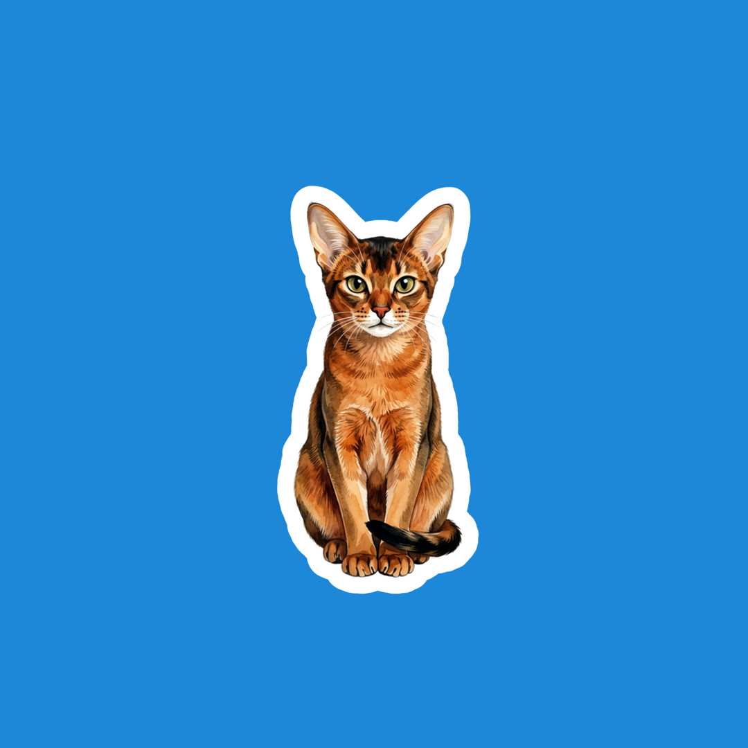 Abyssinian Ruddy Watercolor - Designs by Mysh