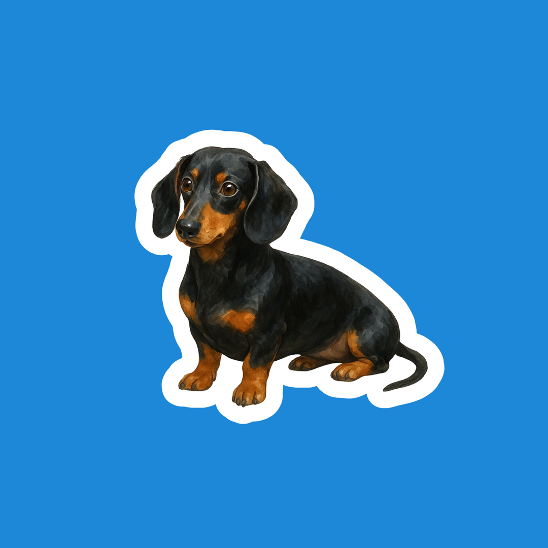 Dachshund Collection