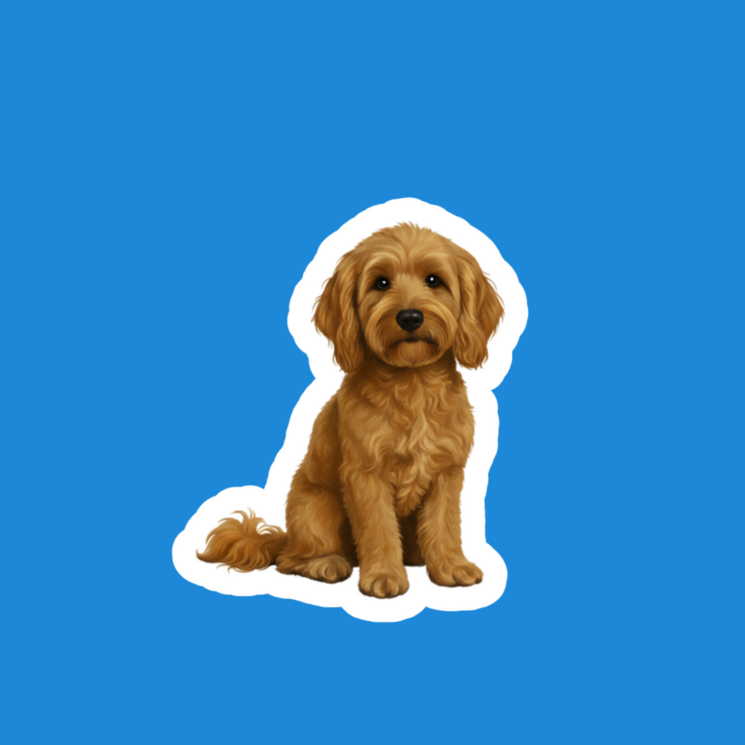Goldendoodle Collection