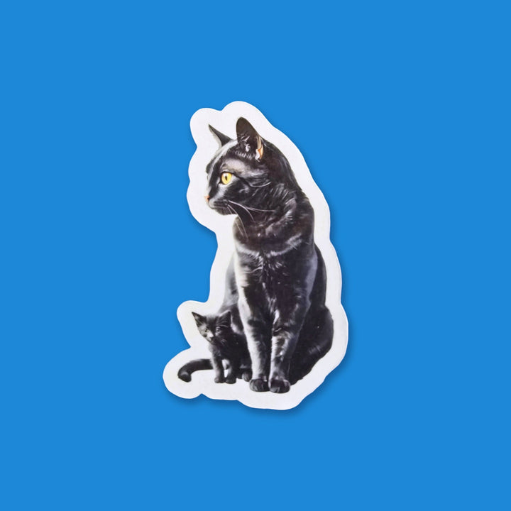 Black Cat Witchy Mama and Kitten flexible fridge magnet – Designs by Mysh