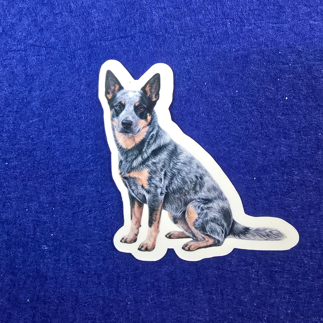 Australian Cattle Dog Watercolor style - Vinyl Stickers - Designs by Mysh