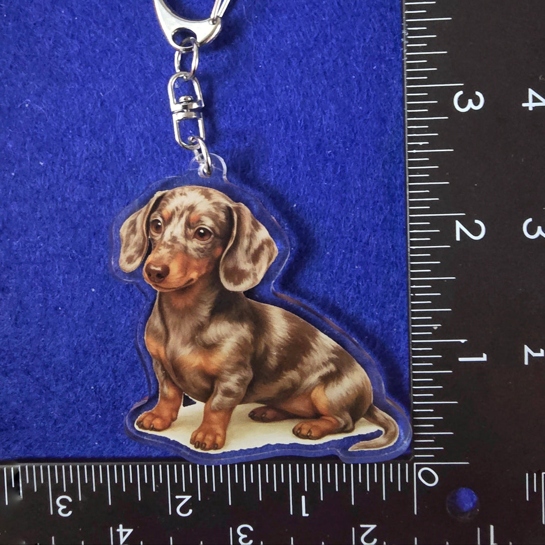 Keychain with dachshund design next to a ruler on a blue background