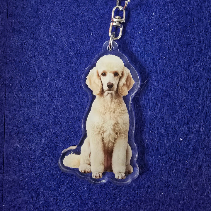 Keychain with a poodle design on a blue background