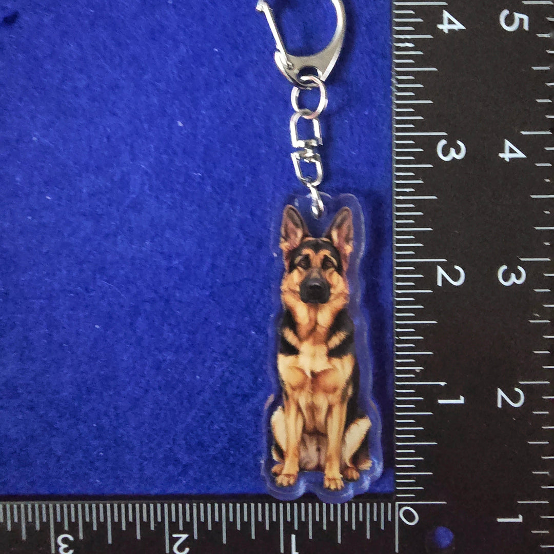 German Shepherd Sable Watercolor Style - Acrylic Keychain next to a ruler