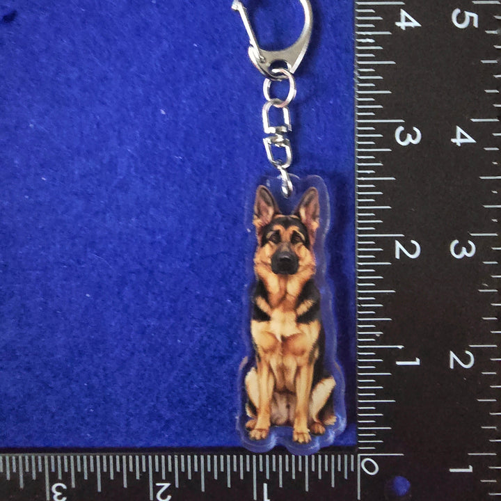 German Shepherd Sable Watercolor Style - Acrylic Keychain next to a ruler