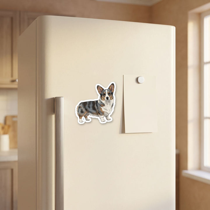 Corgi Blue Merle watercolor magnet on a refrigerator door