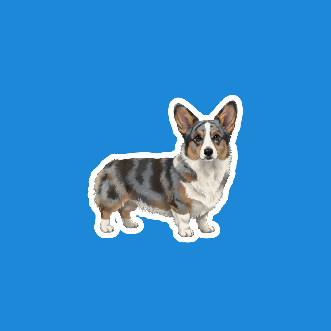 Corgi Blue Merle watercolor flexible fridge magnet – Designs by Mysh