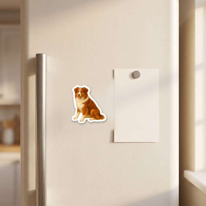 Australian Shepherd Red and White watercolor magnet on a refrigerator door