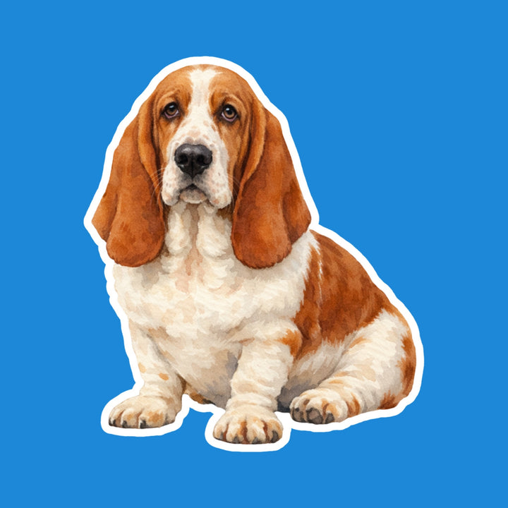 Basset Hound Mahogany and White watercolor flexible fridge magnet – Designs by Mysh