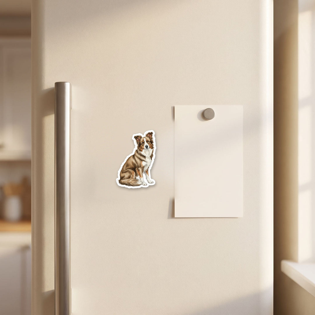 Border Collie Sable watercolor magnet on a refrigerator door