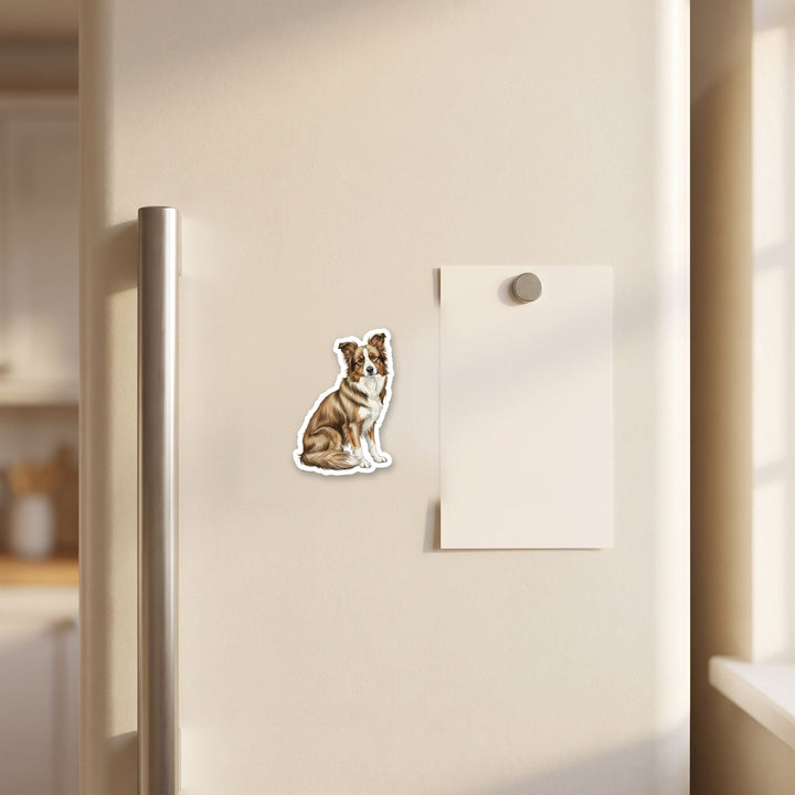 Border Collie Sable watercolor magnet on a refrigerator door