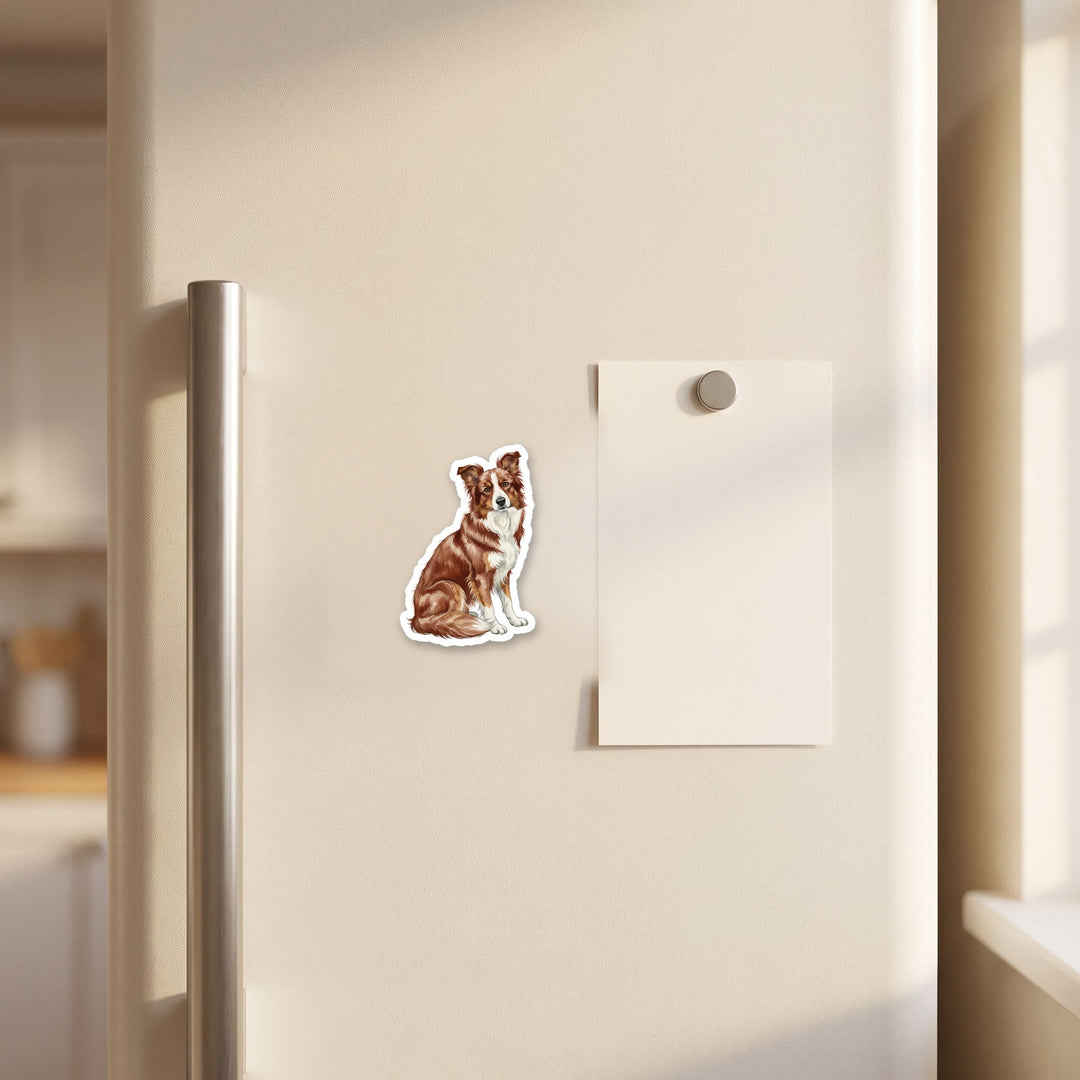 Border Collie Red watercolor magnet on a refrigerator door