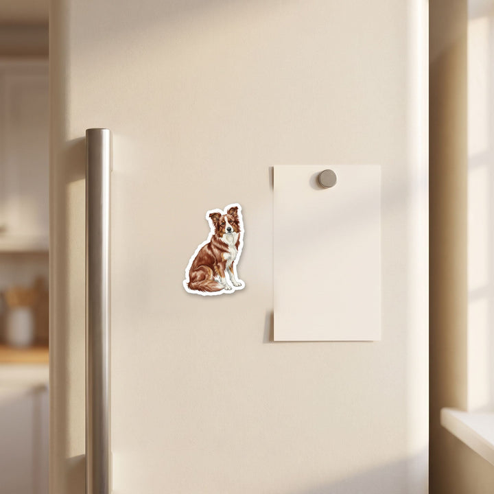 Border Collie Red watercolor magnet on a refrigerator door