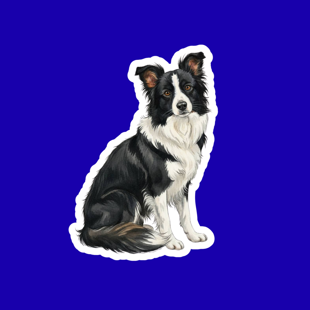 Border Collie Watercolor Style Vinyl Stickers - Designs by Mysh