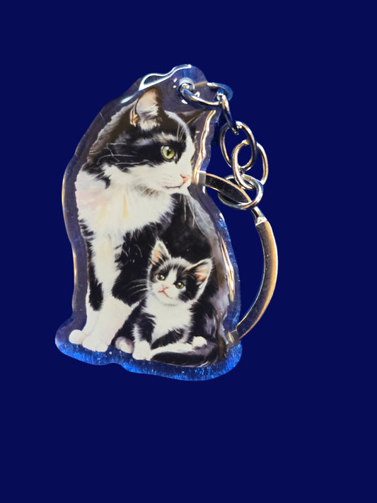A collection of acrylic cat keychains in various colors, each featuring an image of a cat with a glossy finish, displayed on a blue textured surface.