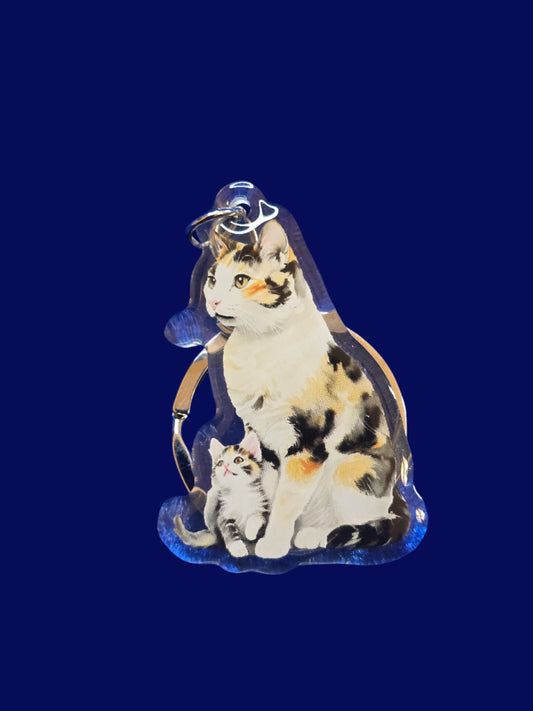 A collection of acrylic cat keychains in various colors, each featuring an image of a cat with a glossy finish, displayed on a blue textured surface.