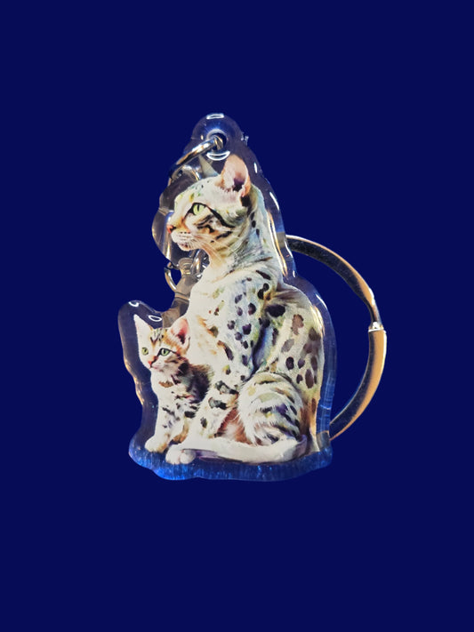 A collection of acrylic cat keychains in various colors, each featuring an image of a cat with a glossy finish, displayed on a blue textured surface.