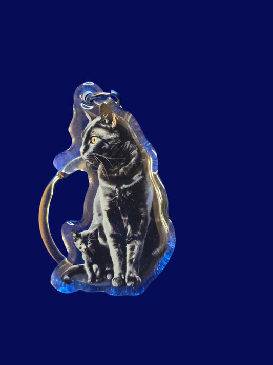 A collection of acrylic cat keychains in various colors, each featuring an image of a cat with a glossy finish, displayed on a blue textured surface.