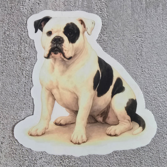 Sticker of a dog lying on its back on a textured gray surface