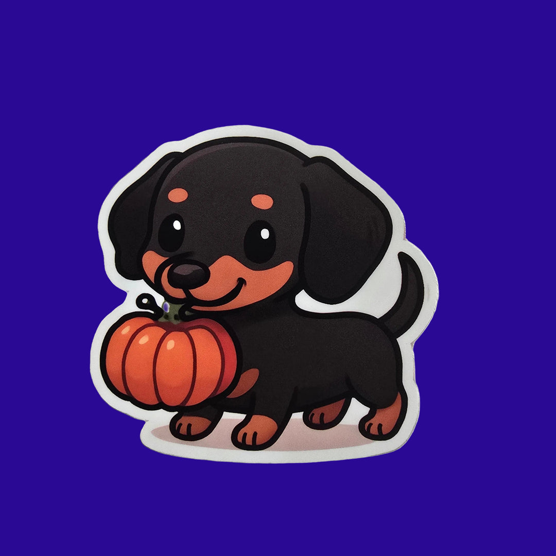 Halloween Dachshund Sticker – Cute Wiener Dog with Pumpkin (3") - Designs by Mysh