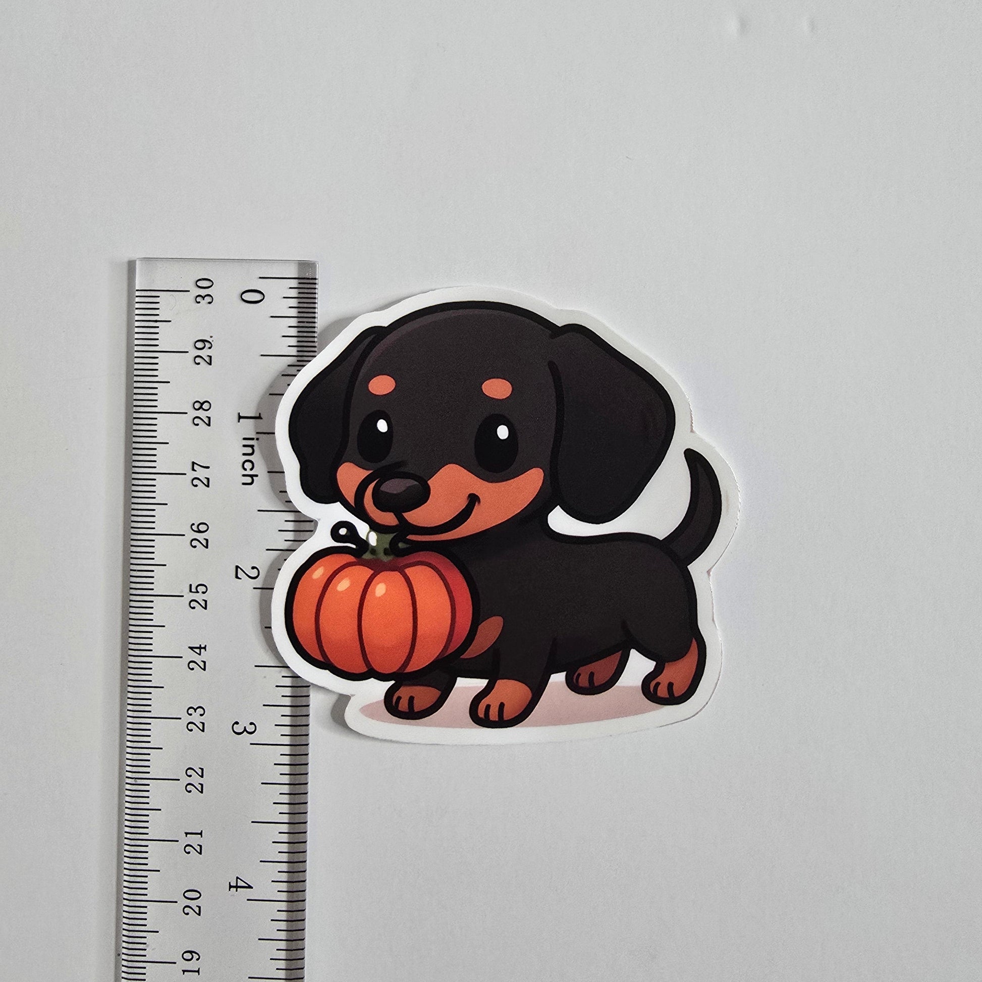 Halloween Dachshund Sticker – Cute Wiener Dog with Pumpkin (3") - Designs by Mysh