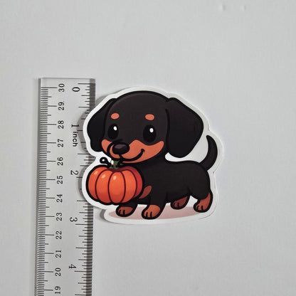 Halloween Dachshund Sticker – Cute Wiener Dog with Pumpkin (3") - Designs by Mysh