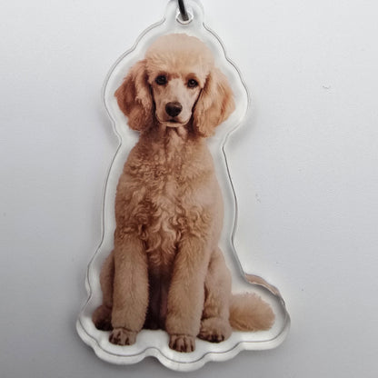 Poodle Doodle - keychain