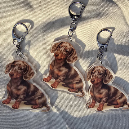 Dachshund Acrylic Keychain – Dog Bag Charm
