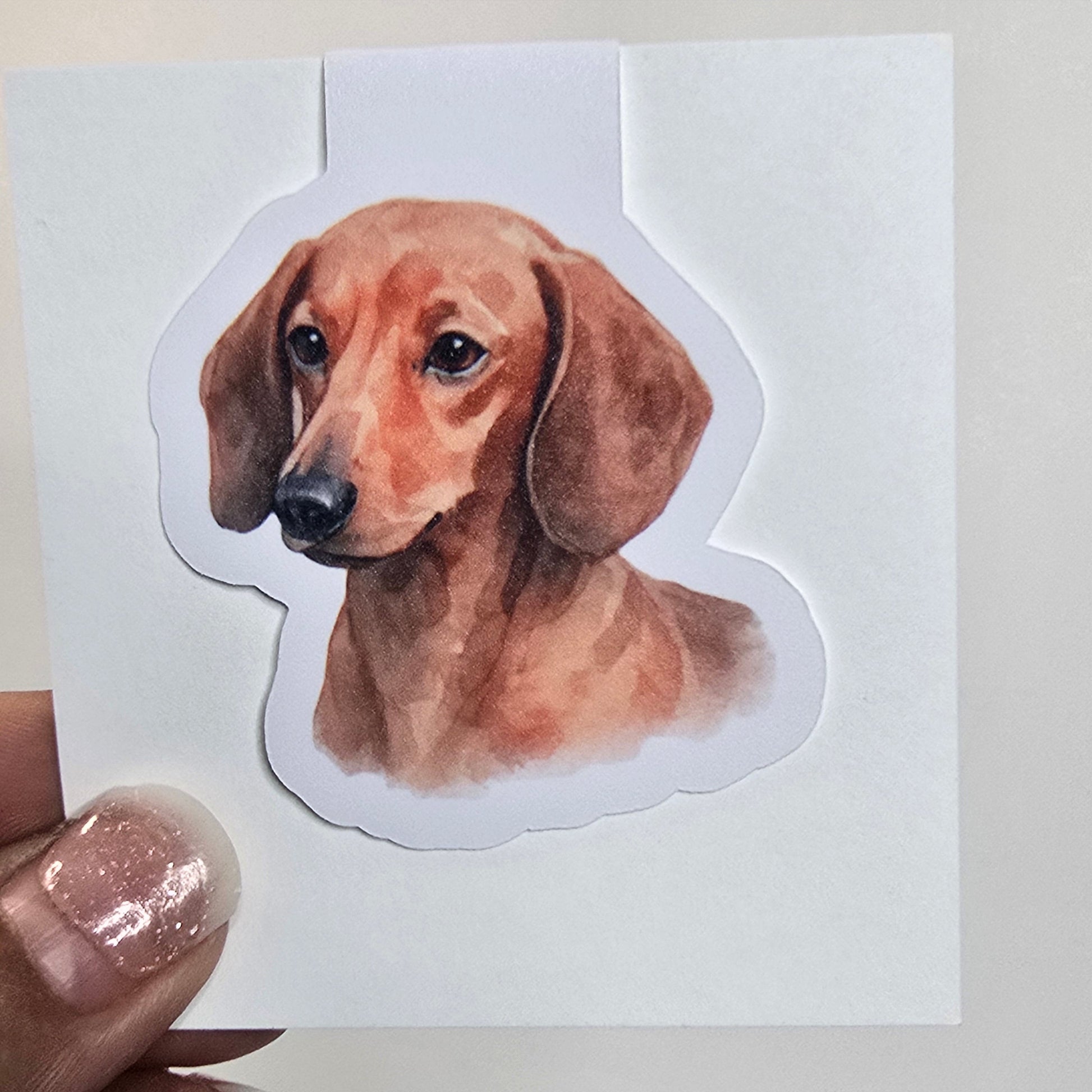 Sticker of a dachshund held by a hand with glittery nail polish on a white background.