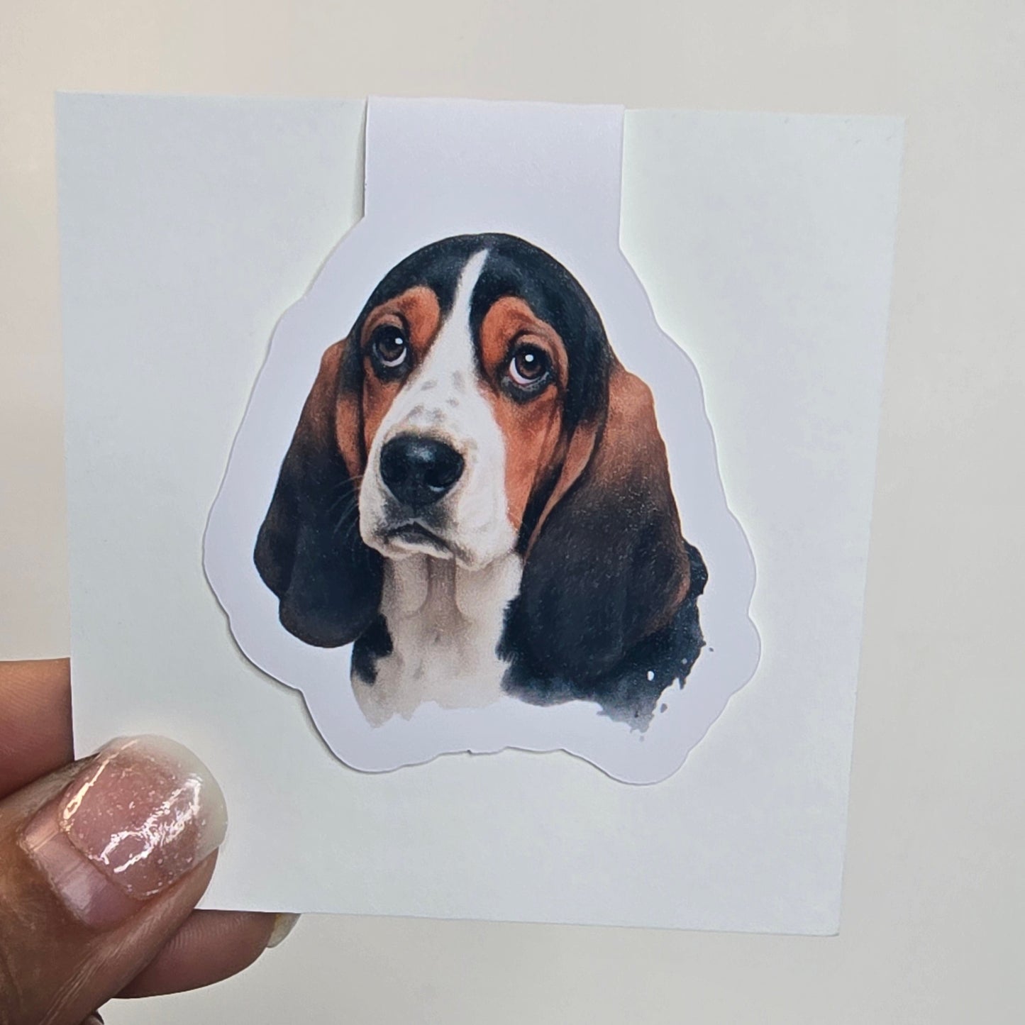 Hand holding a sticker with a dog's face on a white background