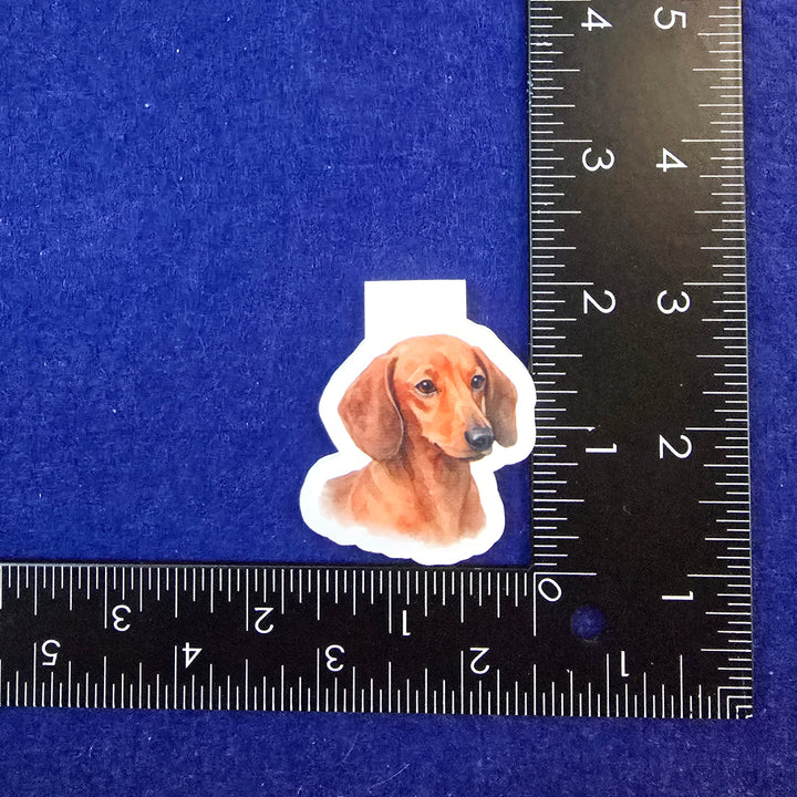 Sticker of a bear head on a blue background with a ruler for scale.