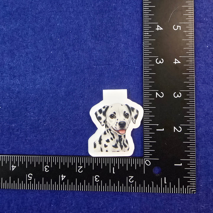 Small white object with black spots on a blue background, measured against a ruler.