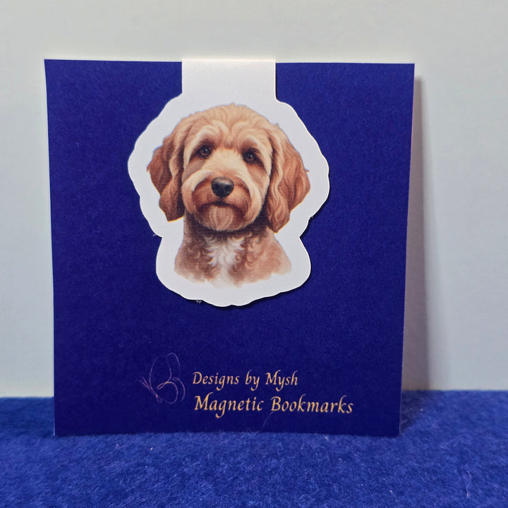 Blue box with a dog illustration on a white background