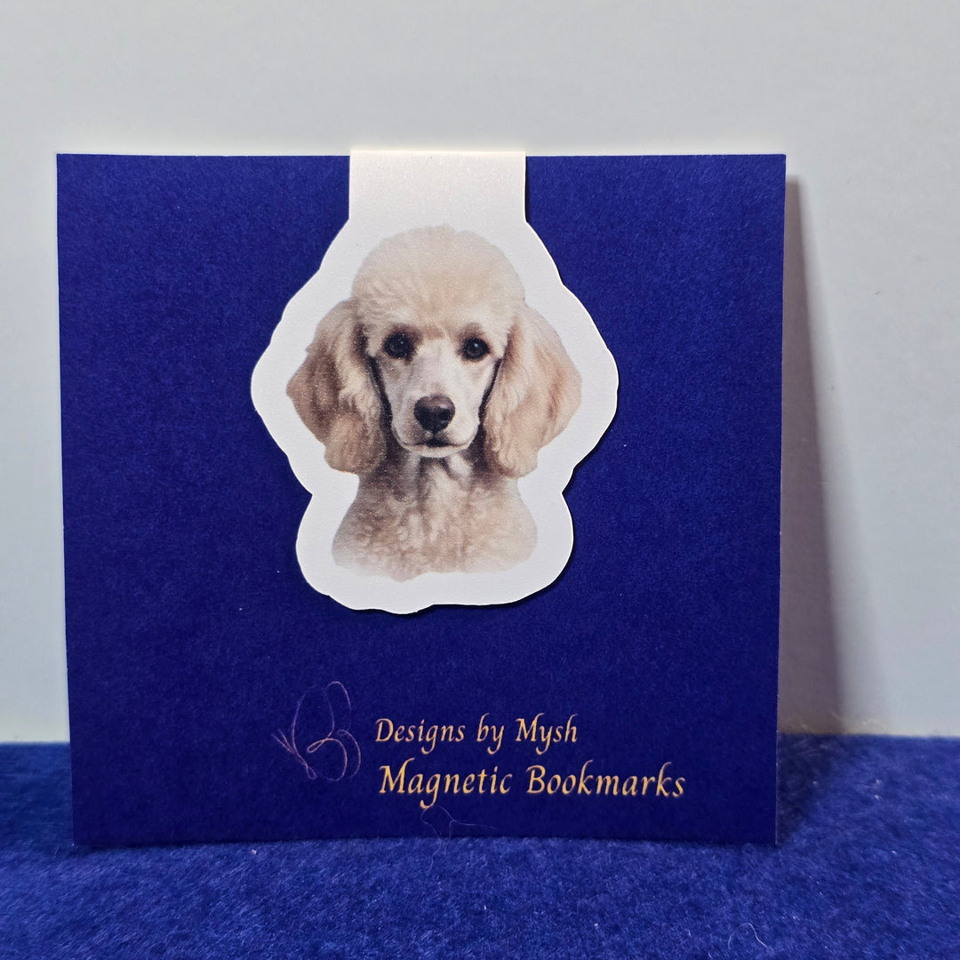 Blue box with a dog illustration and text on a white background