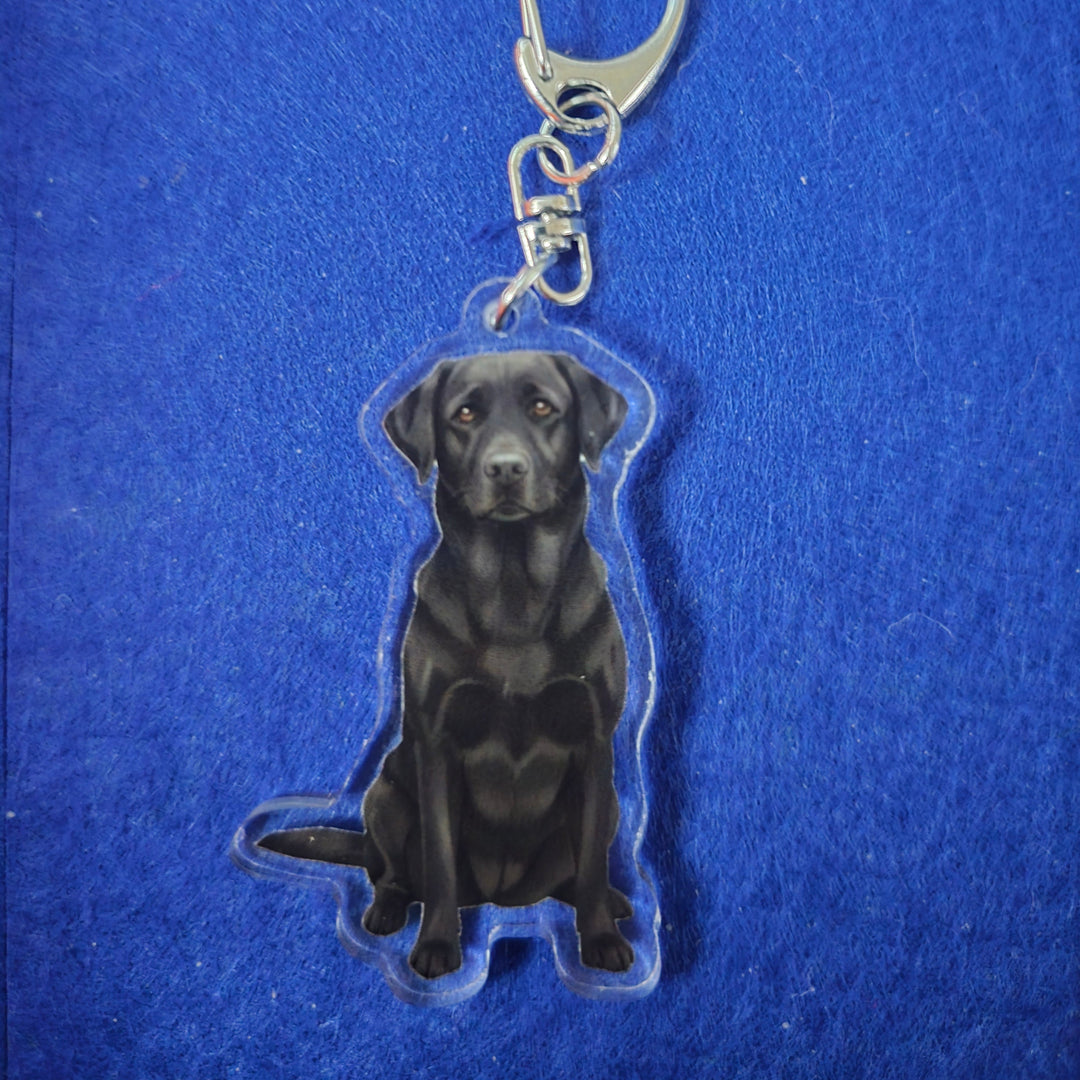 Black dog-shaped keychain on a blue background