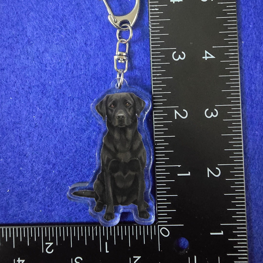 Dog-shaped keychain on a blue background with a ruler for scale