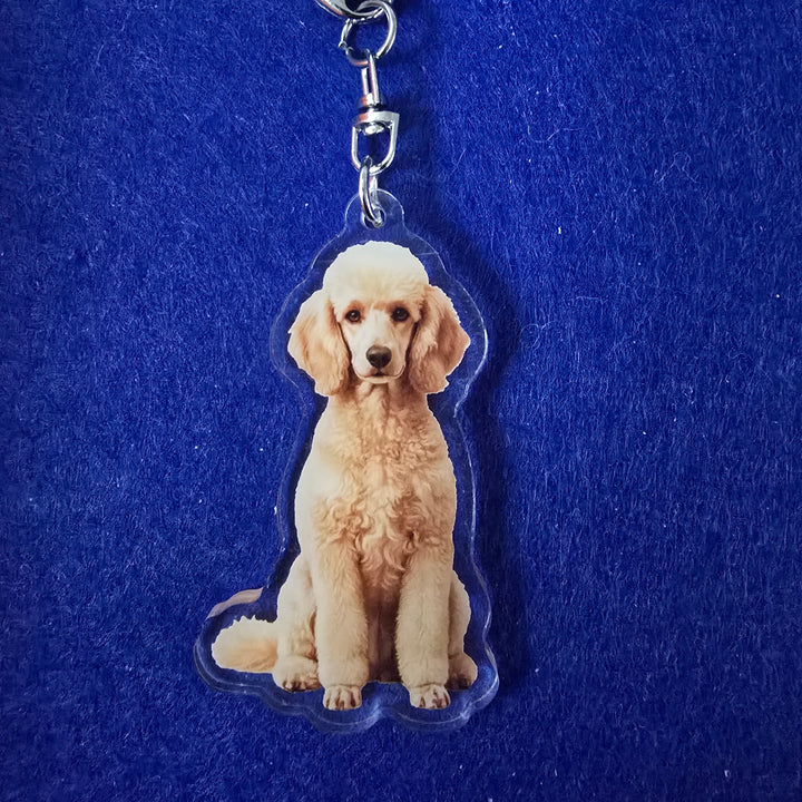 Dog-shaped keychain on a blue background