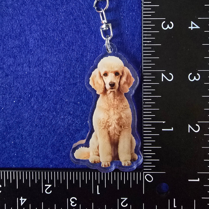 Dog-shaped keychain on a blue background with a ruler for scale