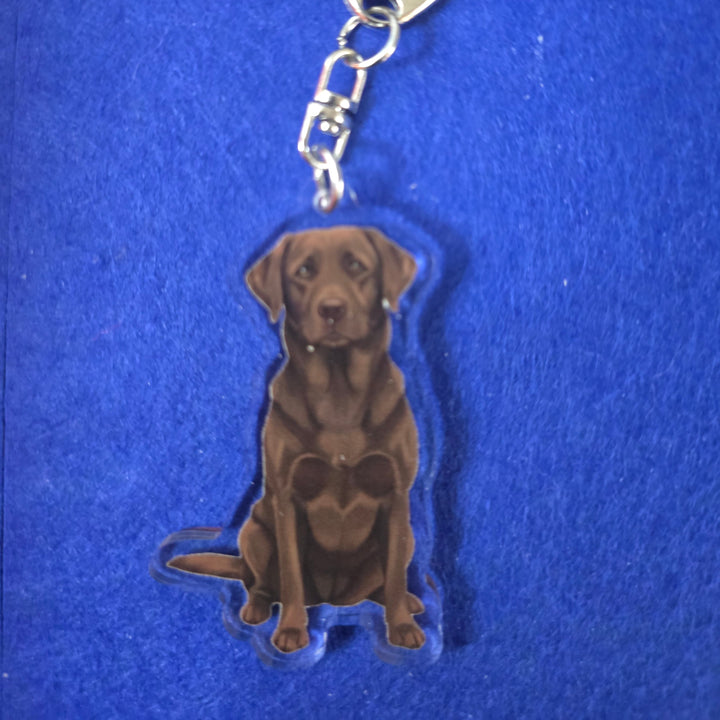 Dog-shaped keychain on a blue textured background