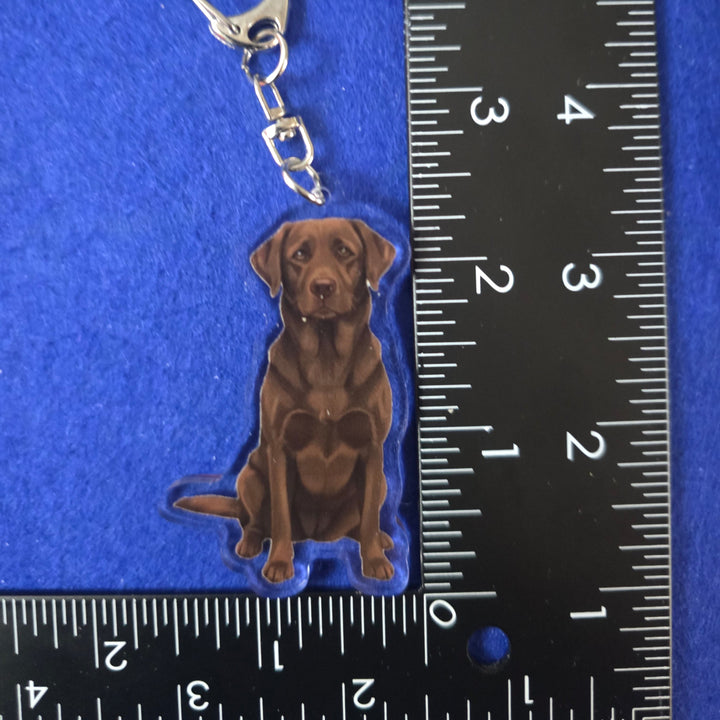 Dog-shaped keychain on a blue background with a ruler for scale.