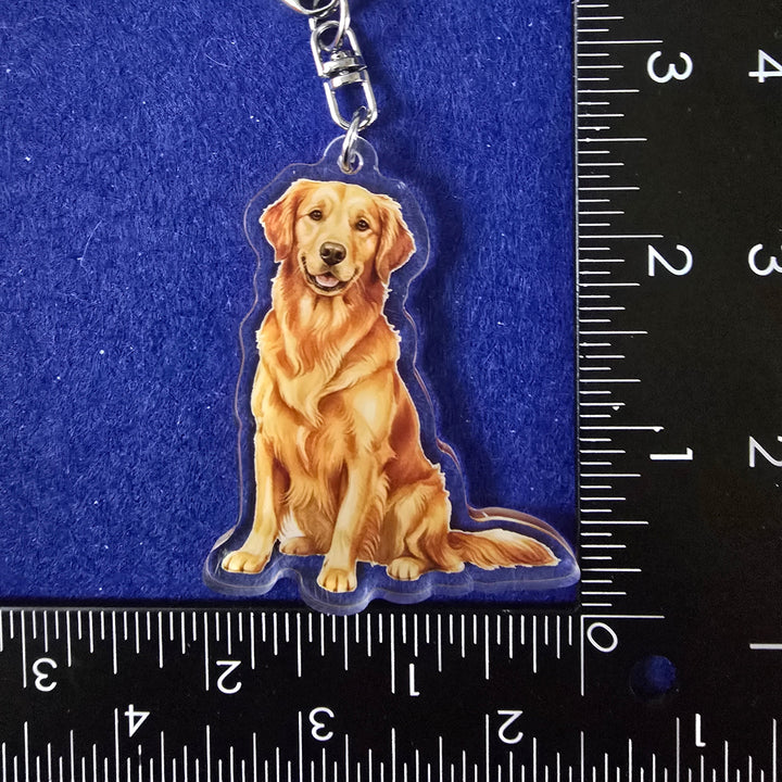 Dog-shaped keychain with a ruler for scale on a blue background