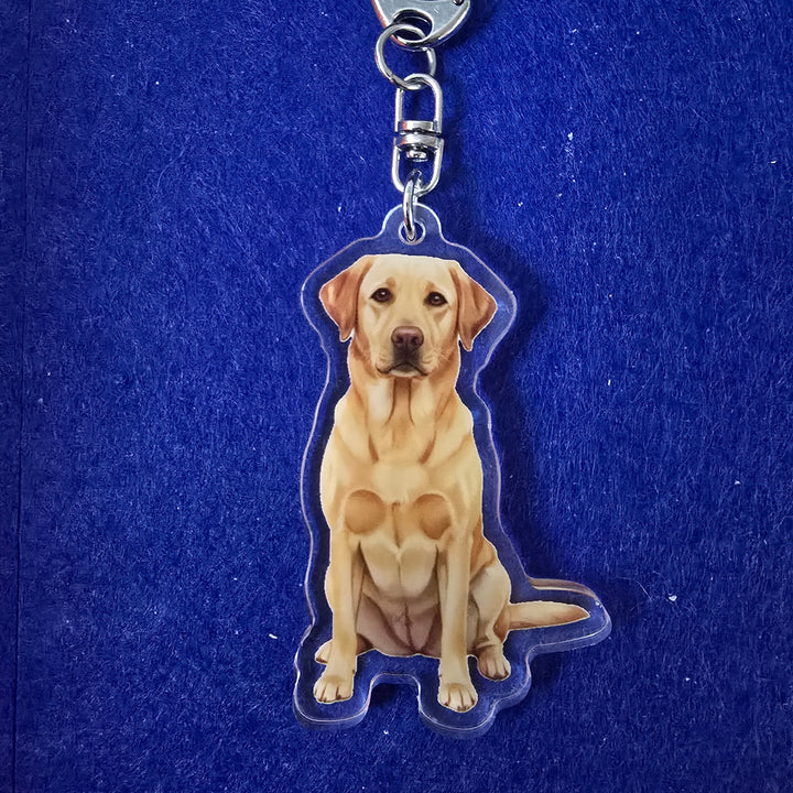 Dog-shaped keychain on a blue background