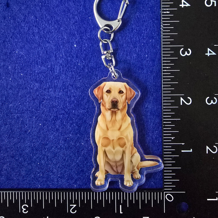 Dog-shaped keychain on a blue background with a ruler for scale.